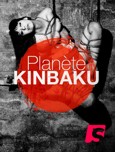 Spicee - Planète Kinbaku