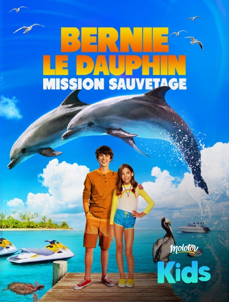 Molotov Channels Kids - Bernie Le Dauphin : Mission Sauvetage