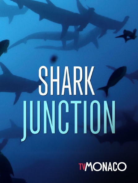 TV Monaco - Shark junction