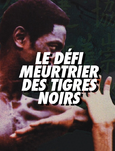 Le défi meurtrier des tigres noirs - 17/06/2024 à 01h03