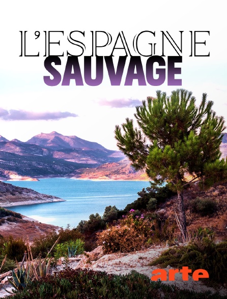 Arte - L'Espagne sauvage - 10/09/2024 à 15h41