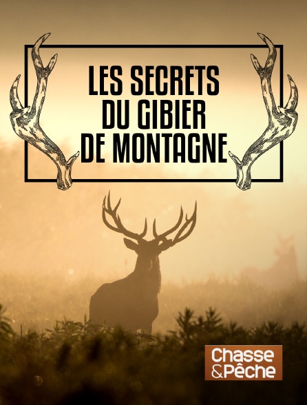 Chasse et pêche - Les secrets du gibier de montagne