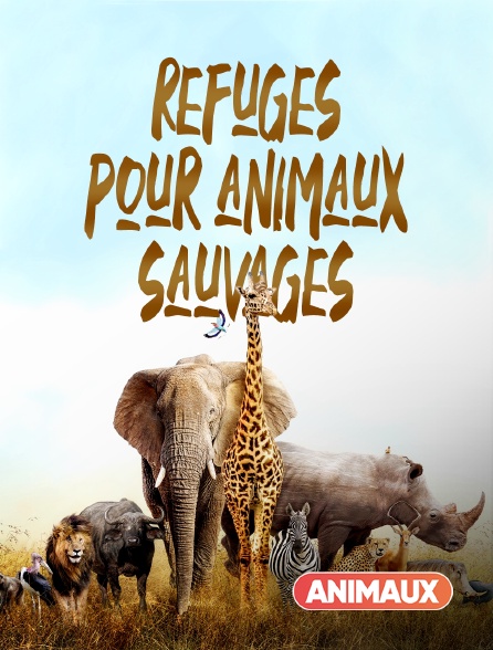 Animaux - Refuges pour animaux sauvages