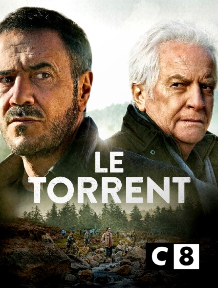 C8 - Le torrent