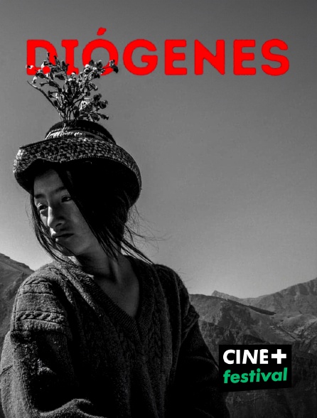 CINE+ Festival - Diógenes