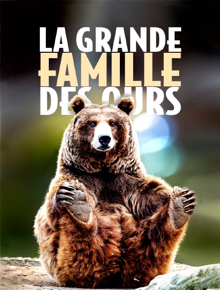 La grande famille des ours