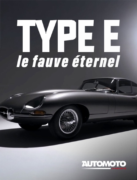 Automoto - Type E, le fauve éternel