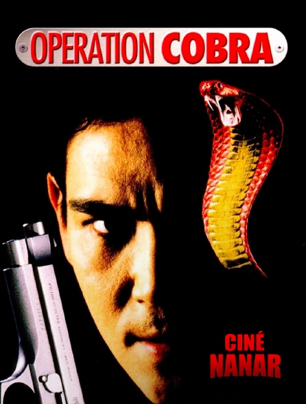 Ciné Nanar - Opération Cobra