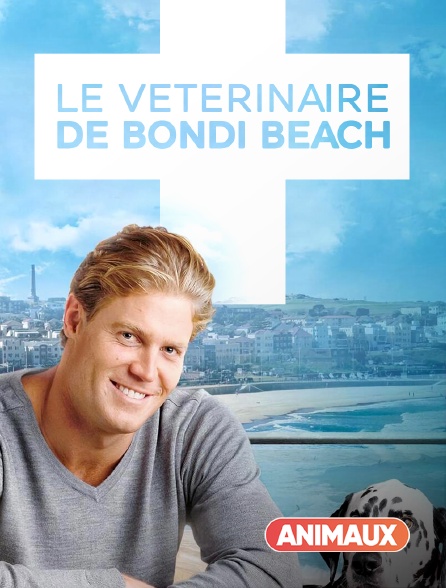 Animaux - Le vétérinaire de Bondi Beach - 18/09/2024 à 17h00