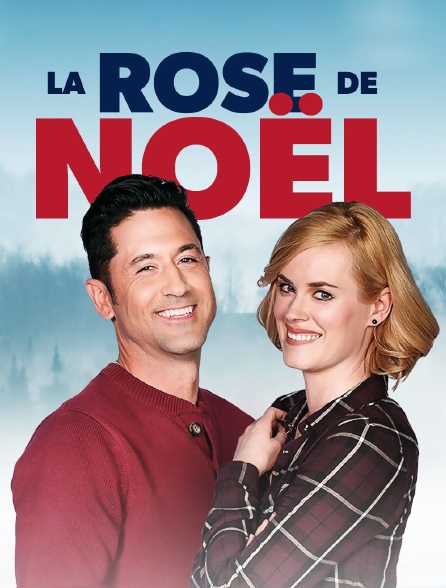 La rose de Noël