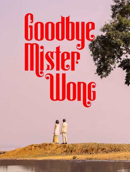 Goodbye Mister Wong