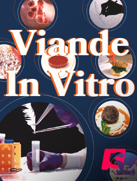 Spicee - Viande in vitro