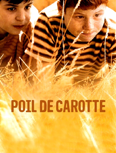 Poil de carotte