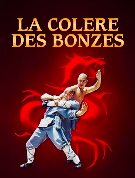 La colère des bonzes