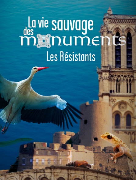 La vie sauvage des monuments : Les résistants