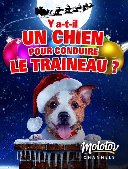 Molotov channels - Y a-t-il un chien pour conduire le traîneau ?