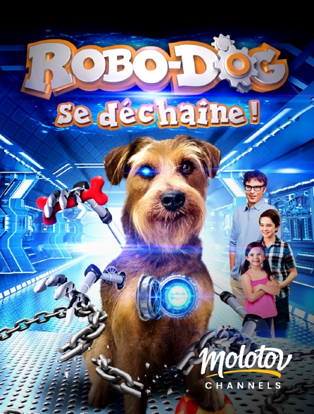 Molotov channels - Robo-dog se dechaine