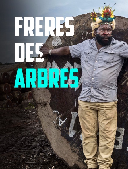 Frères des arbres, l'appel d'un chef papou