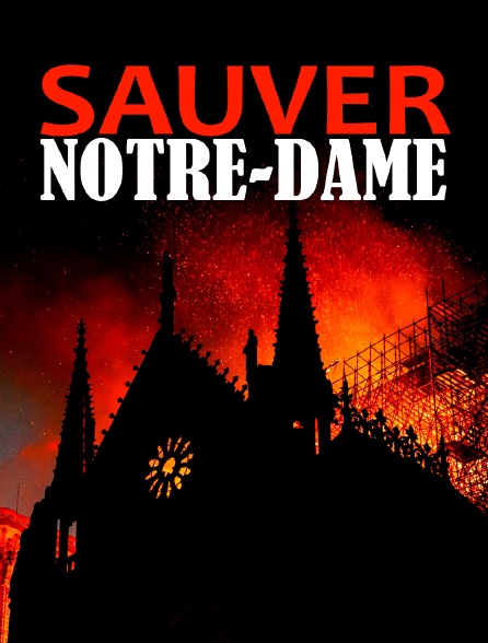 Sauver Notre-Dame