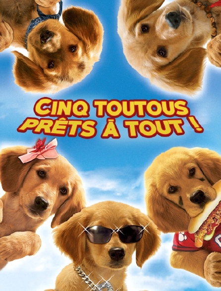 Cinq toutous prêts à tout !