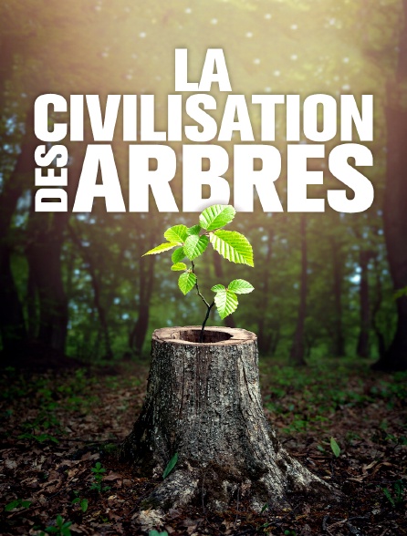 La civilisation des arbres