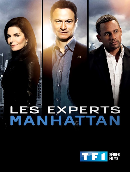 TF1 Séries Films - Les experts : Manhattan