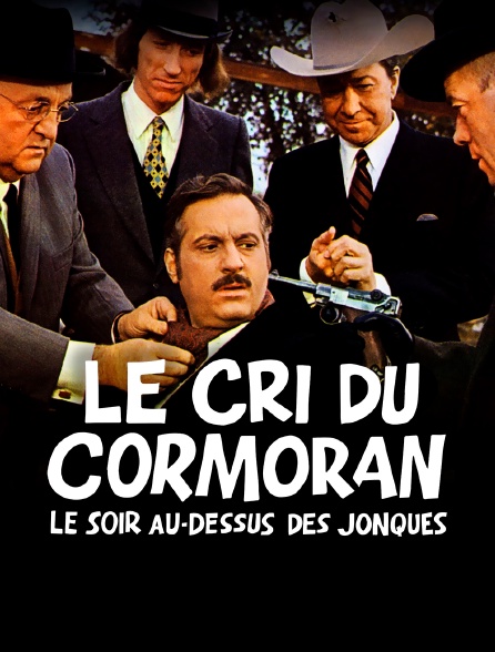 Le cri du cormoran le soir au-dessus des jonques