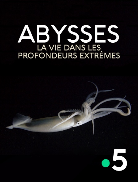 France 5 - Abysses, la vie dans les profondeurs extrêmes - 22/08/2024 à 14h43