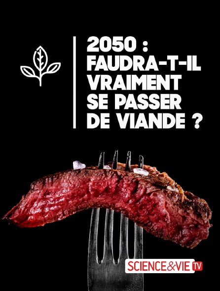 Science et Vie TV - 2050 : faudra-t-il vraiment se passer de viande ?