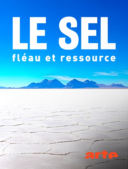 Arte - Le sel : Fléau et ressource