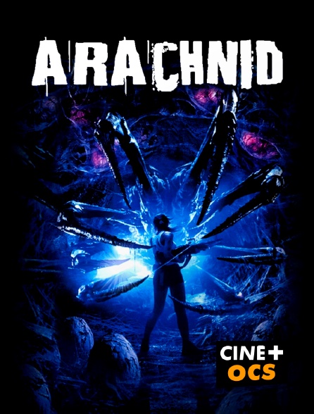 CINÉ Cinéma - Arachnid