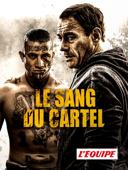 L'Equipe - Le sang du cartel