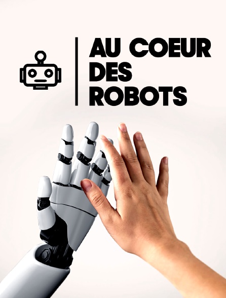 Au coeur des robots