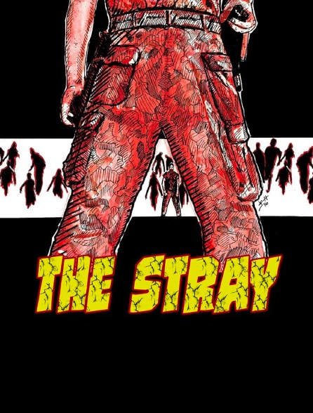 The Stray