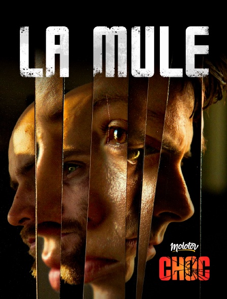 Molotov Channels CHOC - La mule