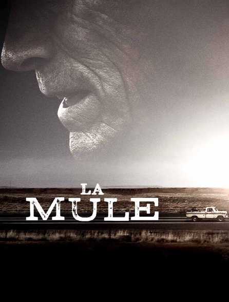 La mule