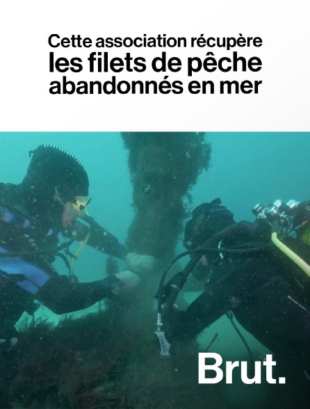 Brut - Cette association récupère les filets de pêche abandonnés en mer