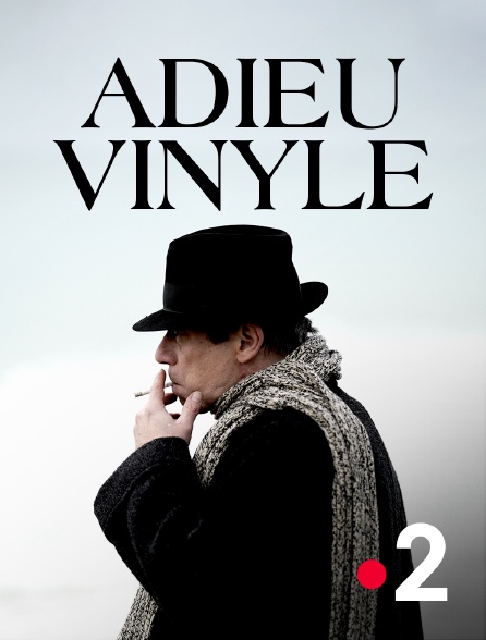 France 2 - Adieu vinyle