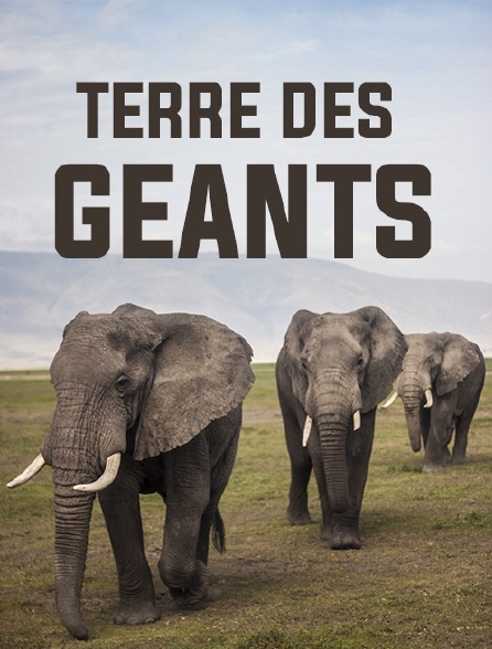 Terre des géants