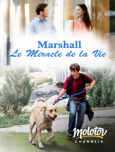 Molotov channels - Marshall, le miracle de la vie