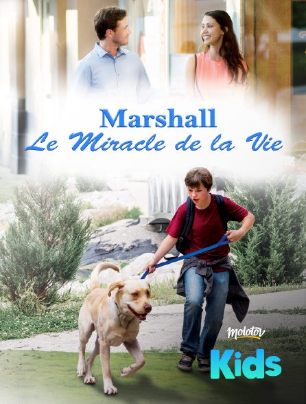 Molotov Channels Kids - Marshall, le miracle de la vie