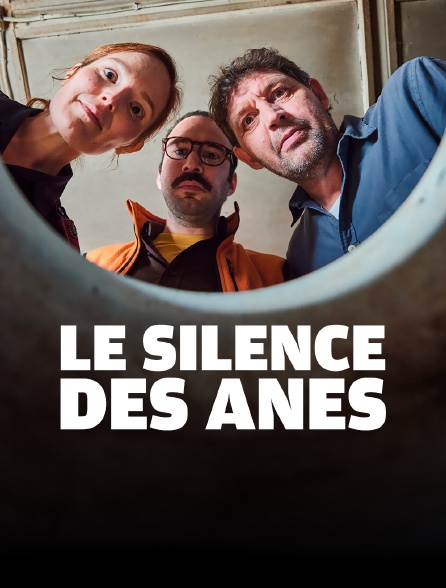 Le silence des ânes