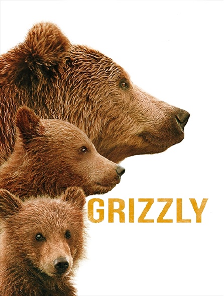 Grizzly