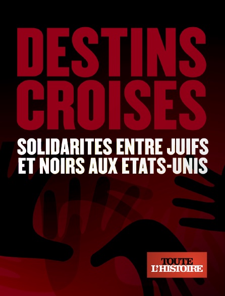 Toute l'Histoire - Destins croisés, solidarités entre juifs et noirs aux Etats-Unis