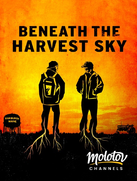 Molotov channels - Beneath the harvest sky