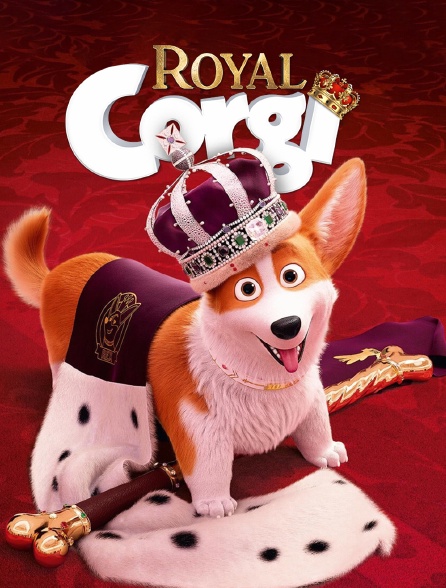 Royal Corgi