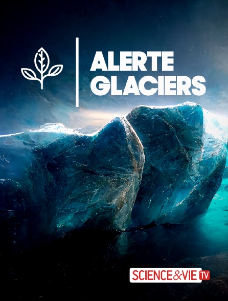 Science et Vie TV - Alerte glaciers