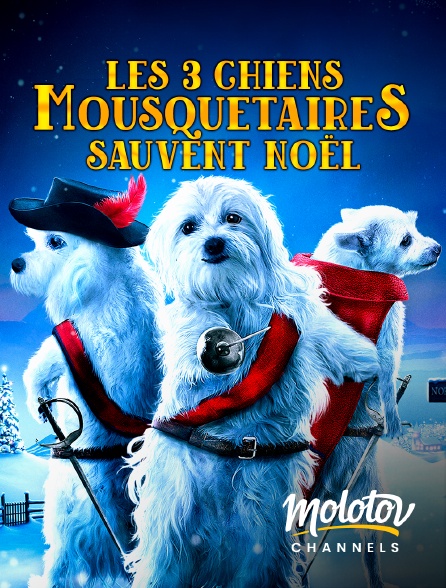 Molotov channels - Les 3 chiens mousquetaires sauvent Noël