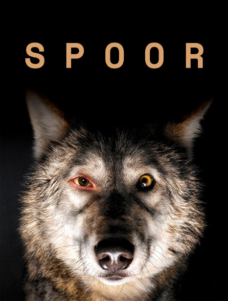 Spoor