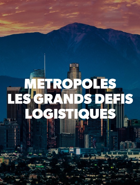 Métropoles : les grands défis logistiques